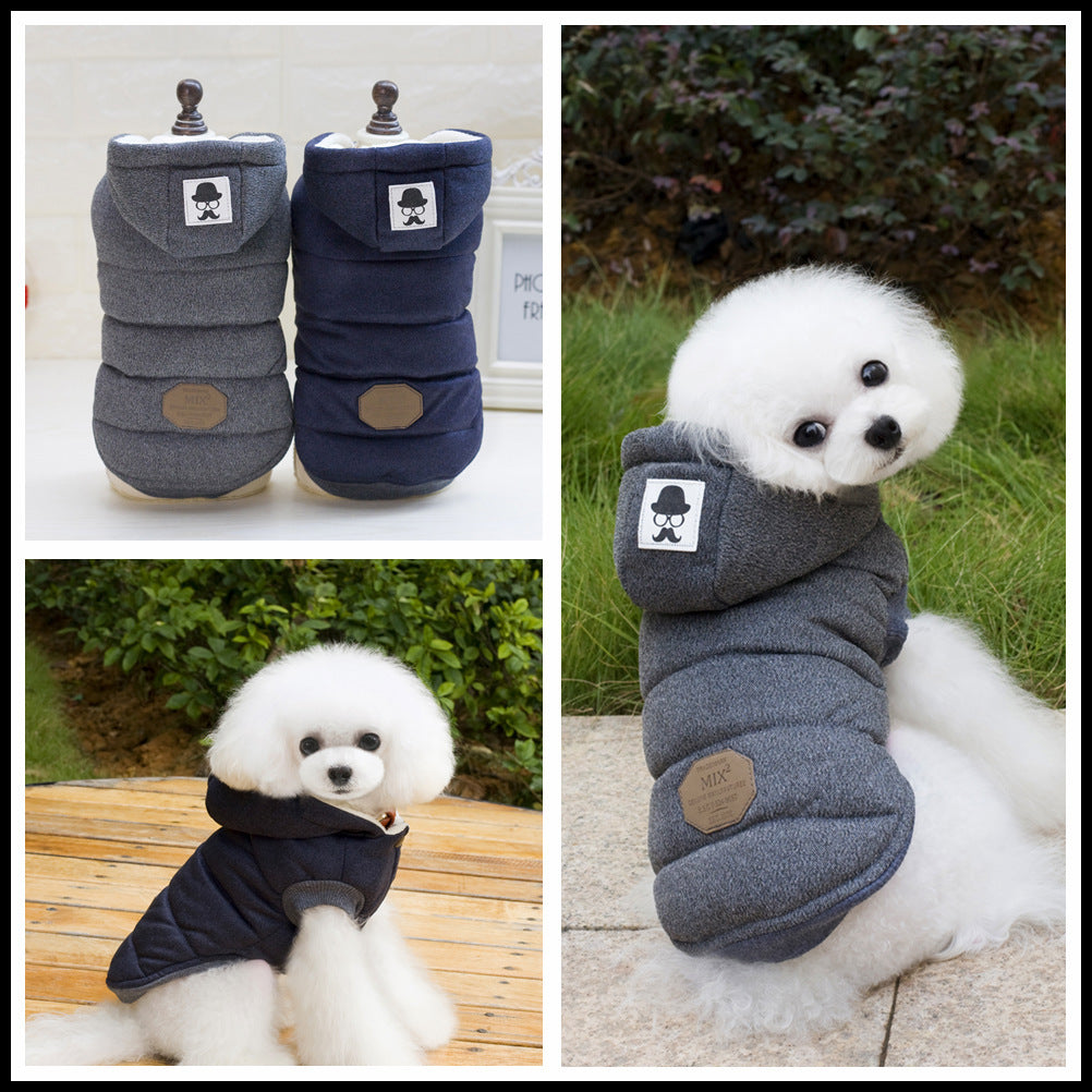 Teddy Dog Padded Coat