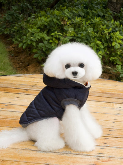 Teddy Dog Padded Coat