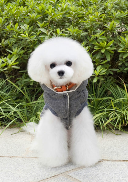 Teddy Dog Padded Coat