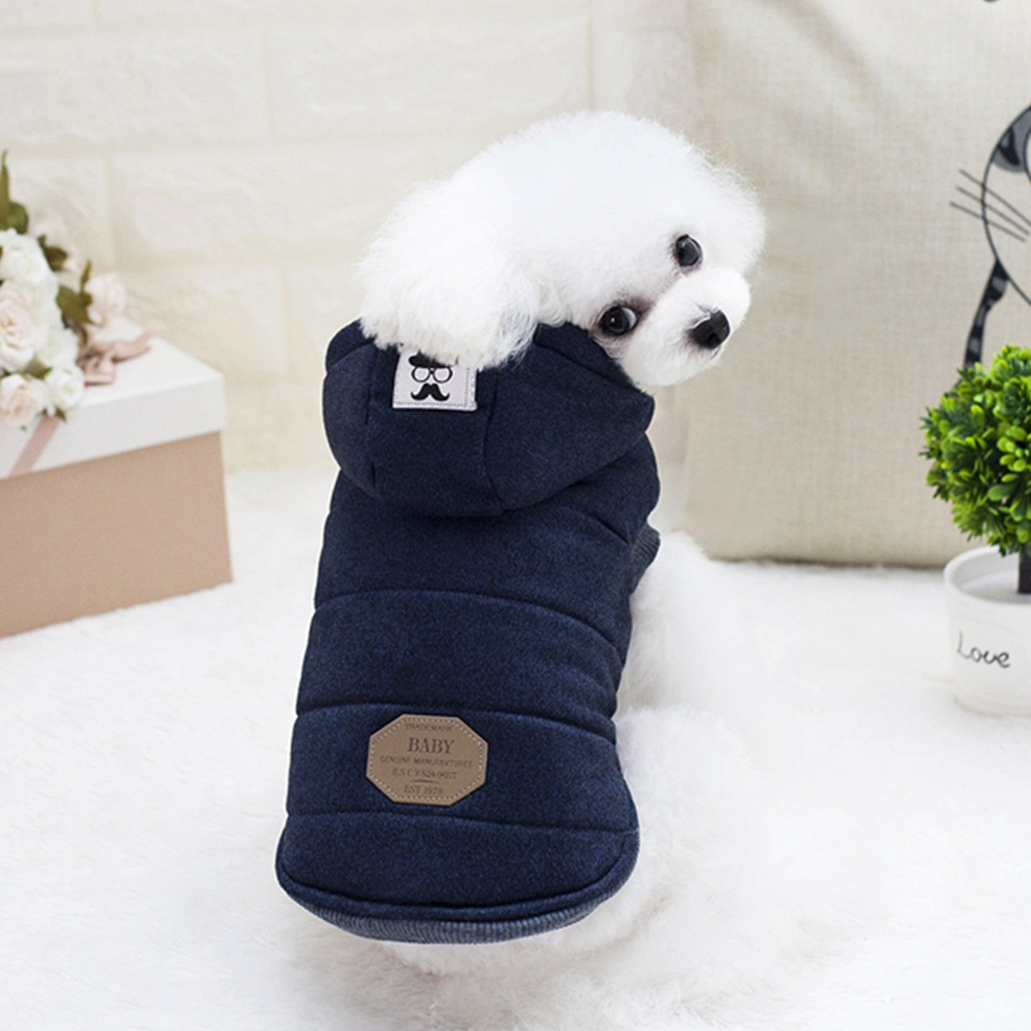 Teddy Dog Padded Coat